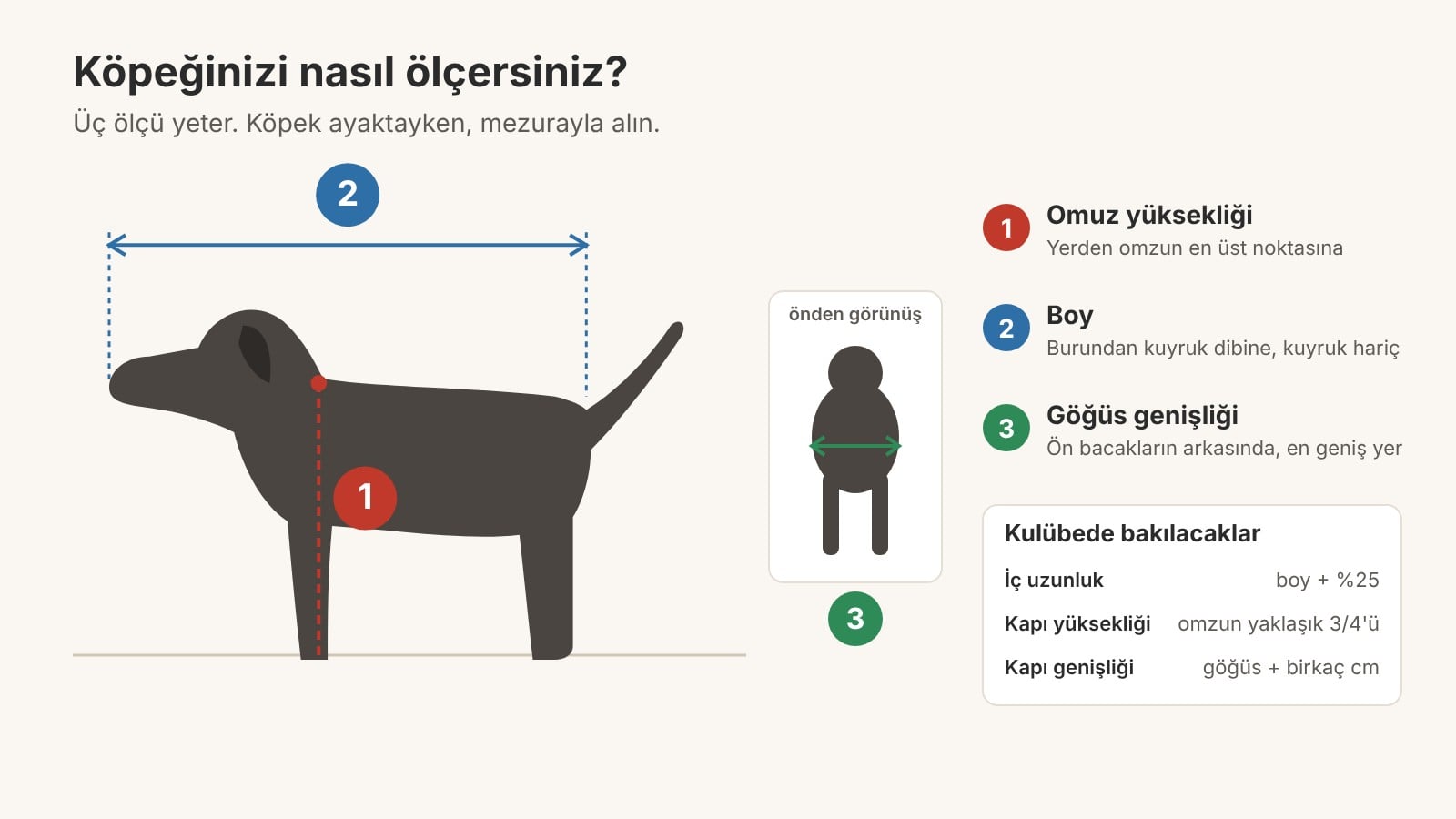 Köpek kulübesi seçimi için köpeğin omuz yüksekliği, boyu ve göğüs genişliği nasıl ölçülür Köpek kulübesi seçimi için köpeğin omuz yüksekliği, boyu ve göğüs genişliği nasıl ölçülür