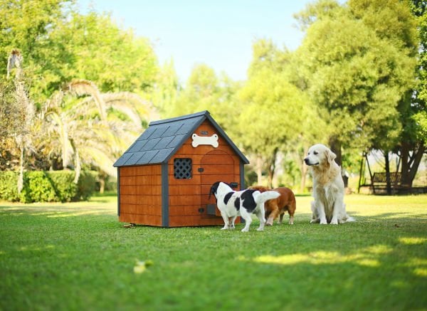 Mandu Isı Yalıtımlı Ahşap Köpek Kulübesi ''LARGE''