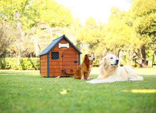 Mandu Isı Yalıtımlı Ahşap Köpek Kulübesi ''LARGE''