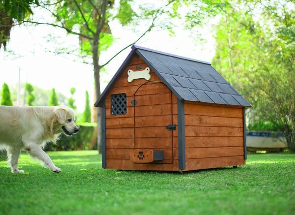 Isı yalıtımlı ahşap köpek kulübesi ''XLARGE''