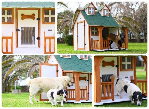 Ultra Lüks Ahşap Köpek Kulübesi (evi)