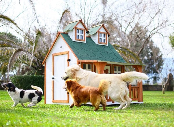 Ultra-Luxury Wooden dog hut (home)