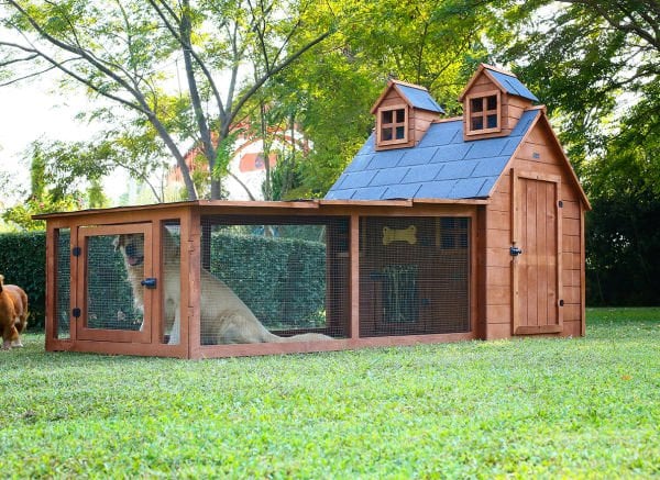 Bahçeli Ultra Lüks Ahşap Köpek Kulübesi (evi)