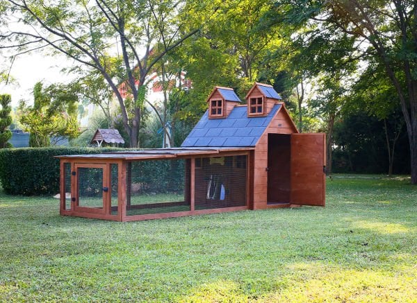 Ultra Luxury Wooden Garden Cottage for dogs (home)