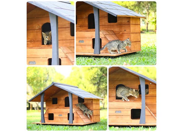 Ahşap Lüks Kedi Evi