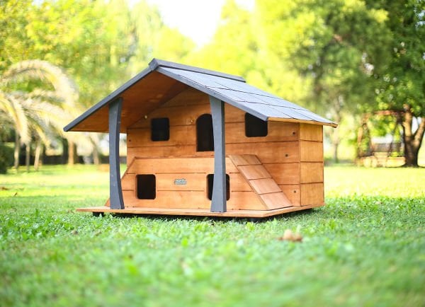 Luxury Wooden Cat House