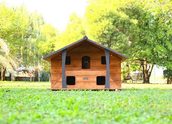 Ahşap Lüks Kedi Evi