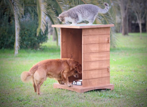 Ahşap Mama İstasyonu