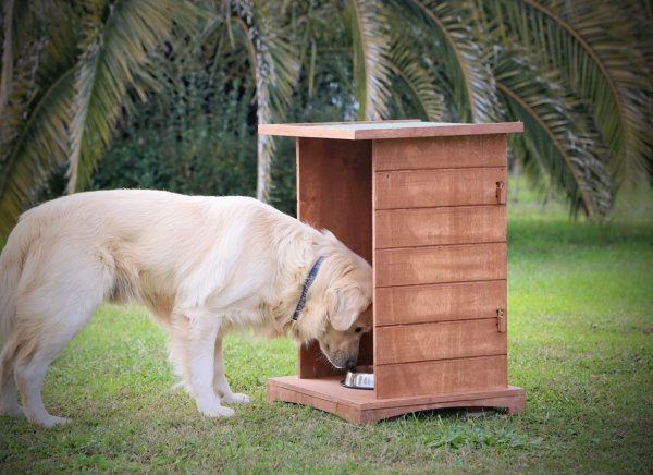 Ahşap Mama İstasyonu