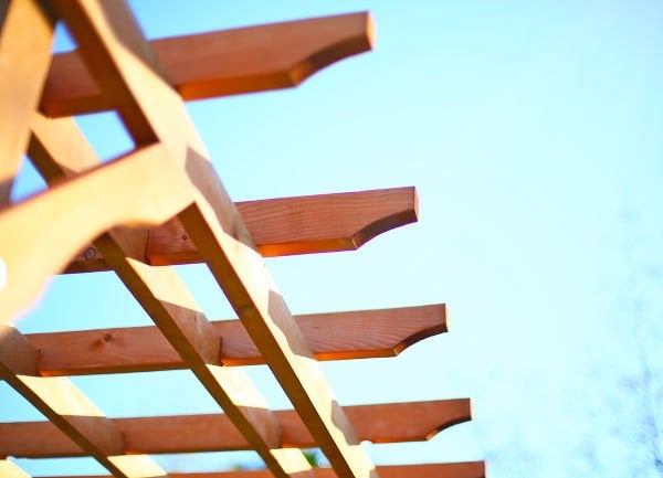 “MANDU” Ahşap Pergole /Kamelya