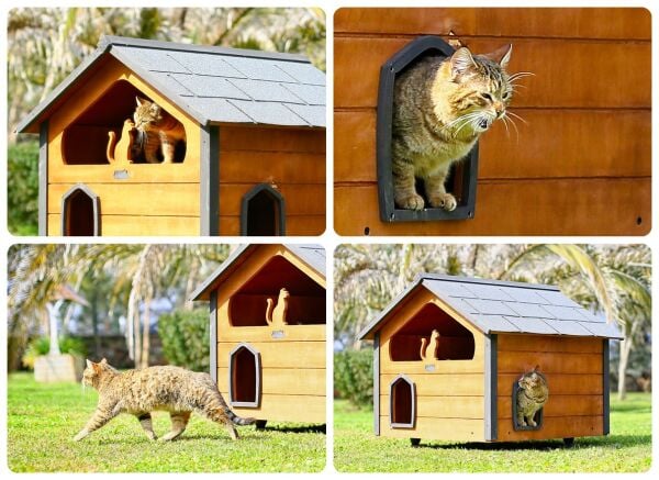 MANDU Ahşap Teraslı (Dublex) Kedi Evi