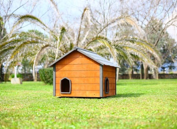 Wooden deck (Flat), cat house