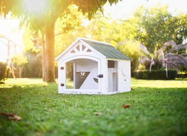 MANDU Ahşap Tavşan Evi (Büyük Boy)