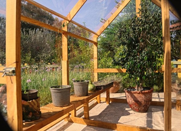 Green House, Ahşap Sera