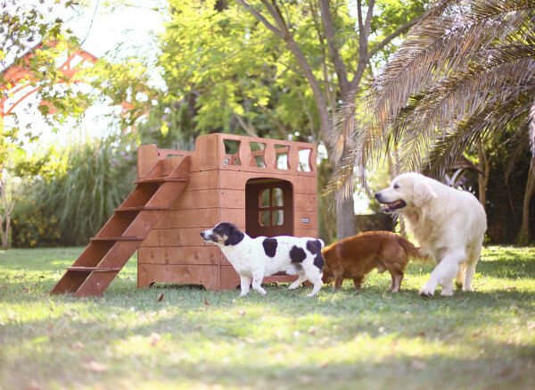“MANDU” Ahşap Dublex Köpek Kulübesi (teraslı)