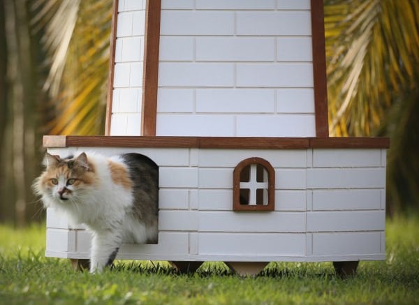 Ahşap Yel Değirmenli Kedi Evi