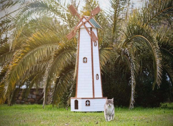 Ahşap Yel Değirmenli Kedi Evi