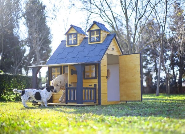 Ultra Lüks Ahşap Köpek Kulübesi (evi) GOLD EDİTİON