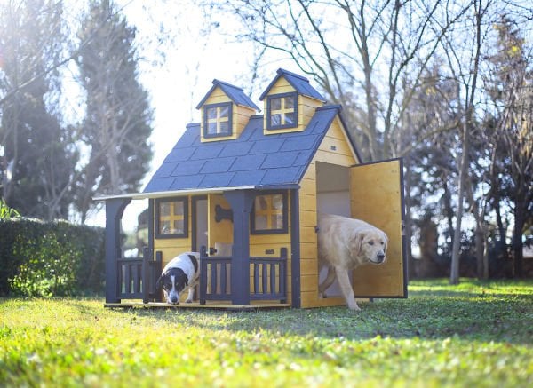 Ultra Lüks Ahşap Köpek Kulübesi (evi) GOLD EDİTİON