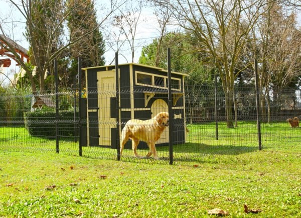 MANDU Private Ahşap Bahçeli Köpek Kulübesi