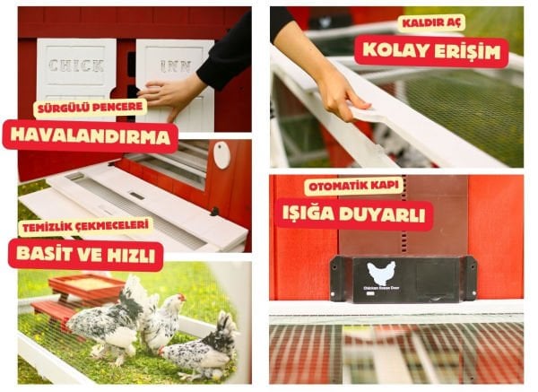 MANDU Ahşap Bahçeli Tavuk/Kuş Kümesi (Mini çiftlik)