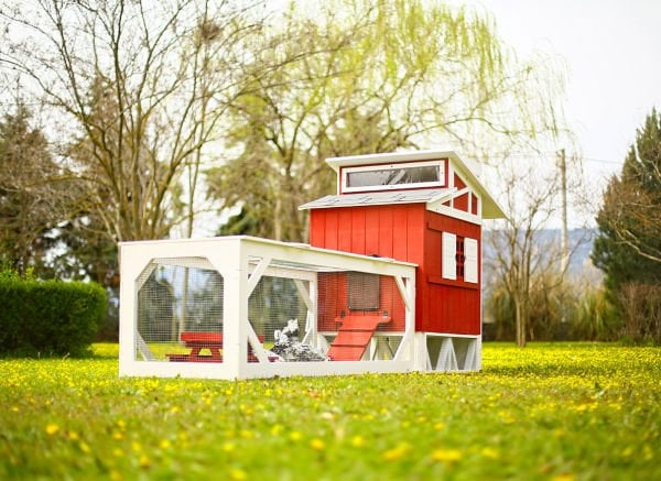 MANDU Ahşap Bahçeli Tavuk/Kuş Kümesi (Mini çiftlik)