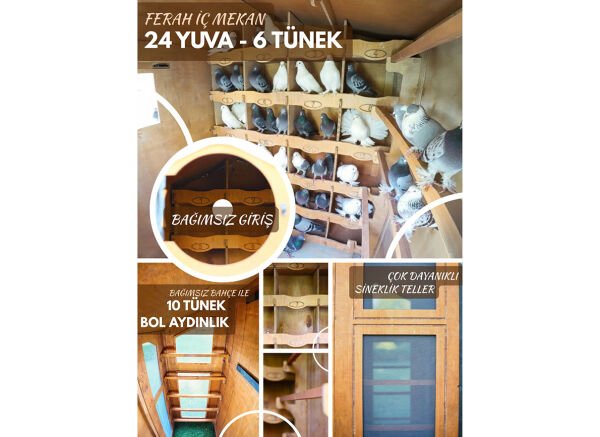 MANDU Ahşap Güvercin Kümesi