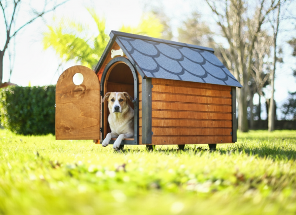 MANDU Ahşap Köpek Kulübesi