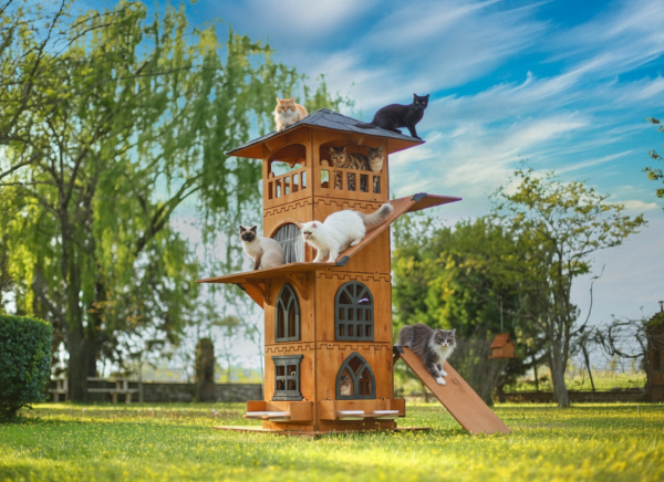 “MANDU” Ahşap 4 Katlı Teraslı Kedi Evi (Tırmalama + Mama Kaplı)
