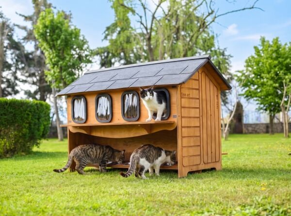 12 Odalı İki Katlı Ahşap Büyük Dış Mekân Kedi Evi – Sokak Kedisi Evi