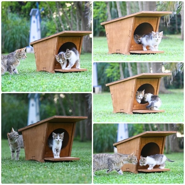 MANDU Ahşap Mini Kedi Evi (Yeni Doğan evi)