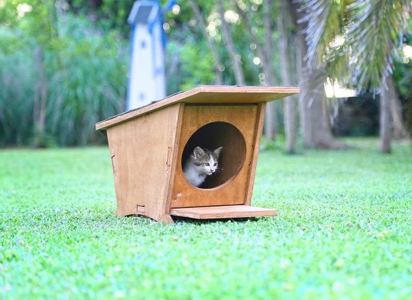 MANDU Ahşap Mini Kedi Evi (Yeni Doğan evi)