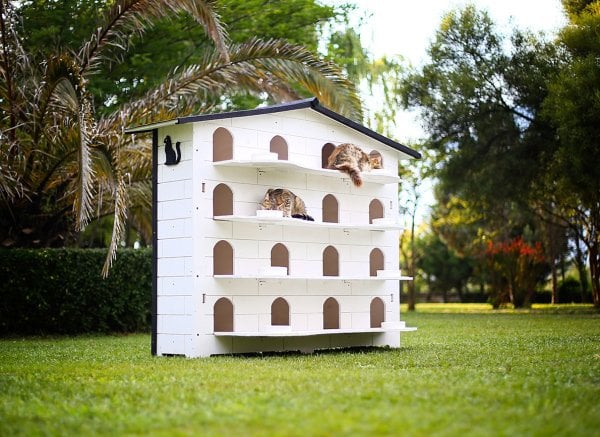 MANDU Bahçeli Kedi Apartmanı (kedi evi) + Mama kapları hediye
