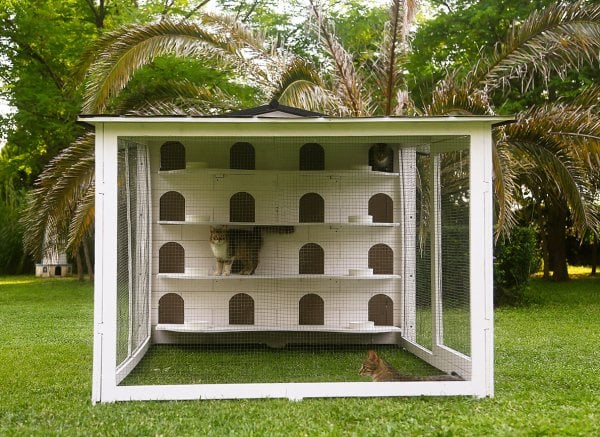 MANDU Bahçeli Kedi Apartmanı (kedi evi) + Mama kapları hediye