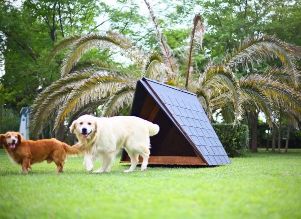 MANDU Ahşap Köpek Kulübesi (A Frame)