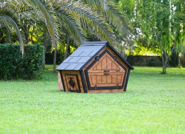 MANDU Ahşap Tavuk Kümesi (6 Tavuk) ve Güvercin Evi