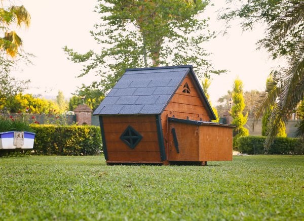 MANDU Ahşap Tavuk Kümesi (10 Tavuk)