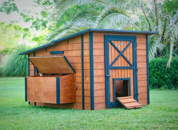 MANDU Ahşap Tavuk Kümesi (30 Tavuk)