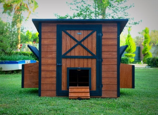 MANDU Ahşap Tavuk Kümesi (30 Tavuk)