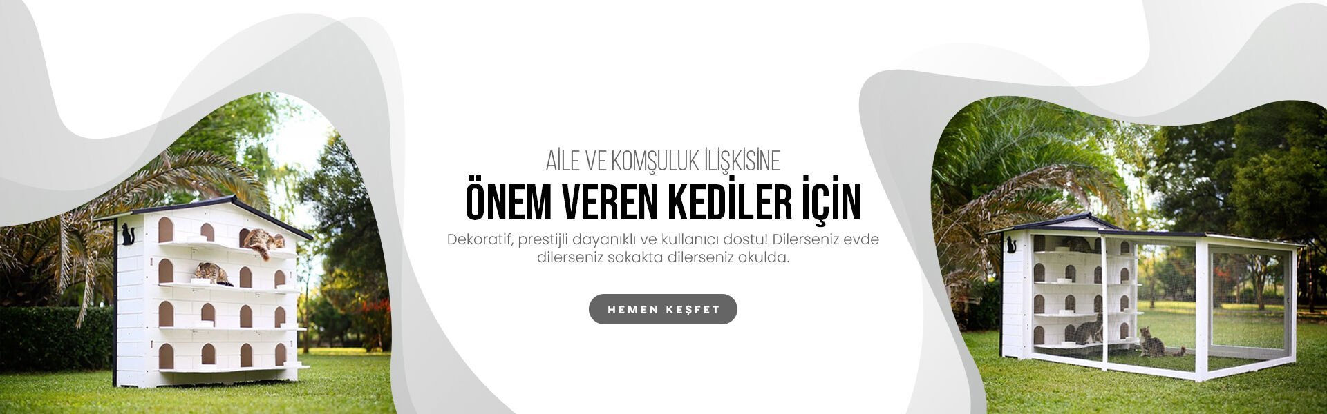kedi apartmanı