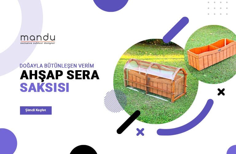 sera saksı