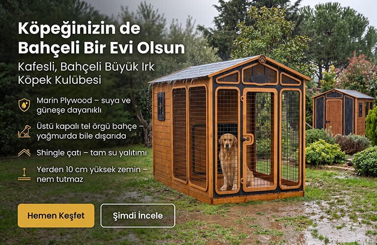 Kafesli, Bahçeli Büyük Irk Köpek Kulübesi ve Köpek Evi, Yüksek Zeminli