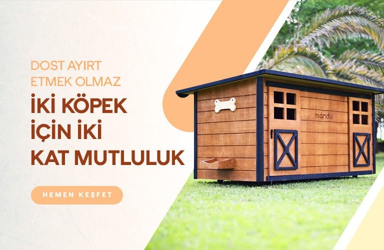 ikiz kulübe